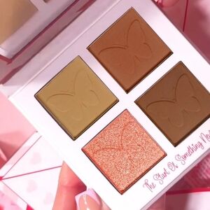 P.Louise Fall In Love 💕 The Start of Something Palette Mini Quad Palette NEW